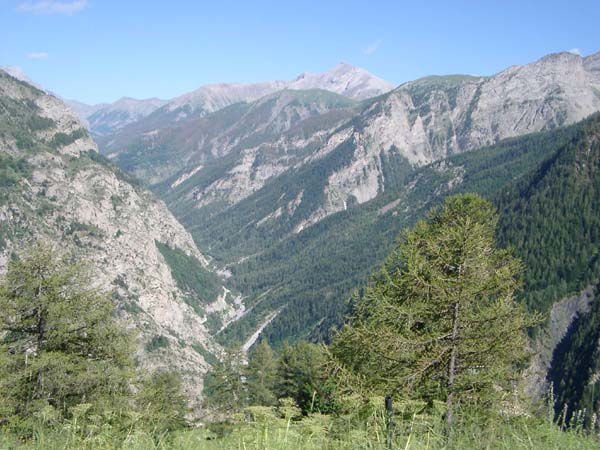 Unten die Abfahrt des Cayolle, im Hintergrund in der Mitte die Cime de la Bonette